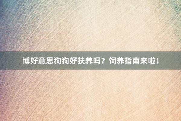 博好意思狗狗好扶养吗？饲养指南来啦！